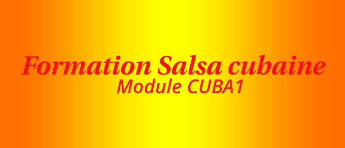 Formation professeur salsa