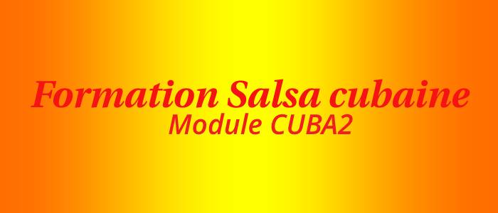 Formation professeur salsa