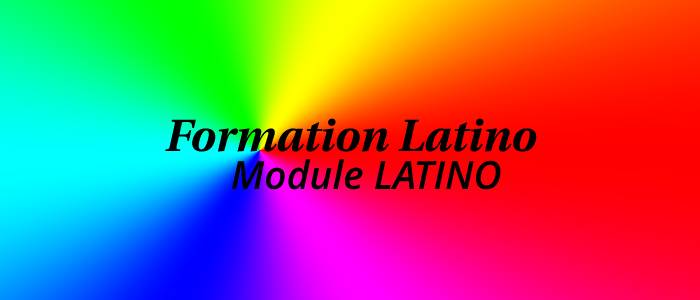 Formation animateur danses latines salsa kizomba cha-cha merengue ...